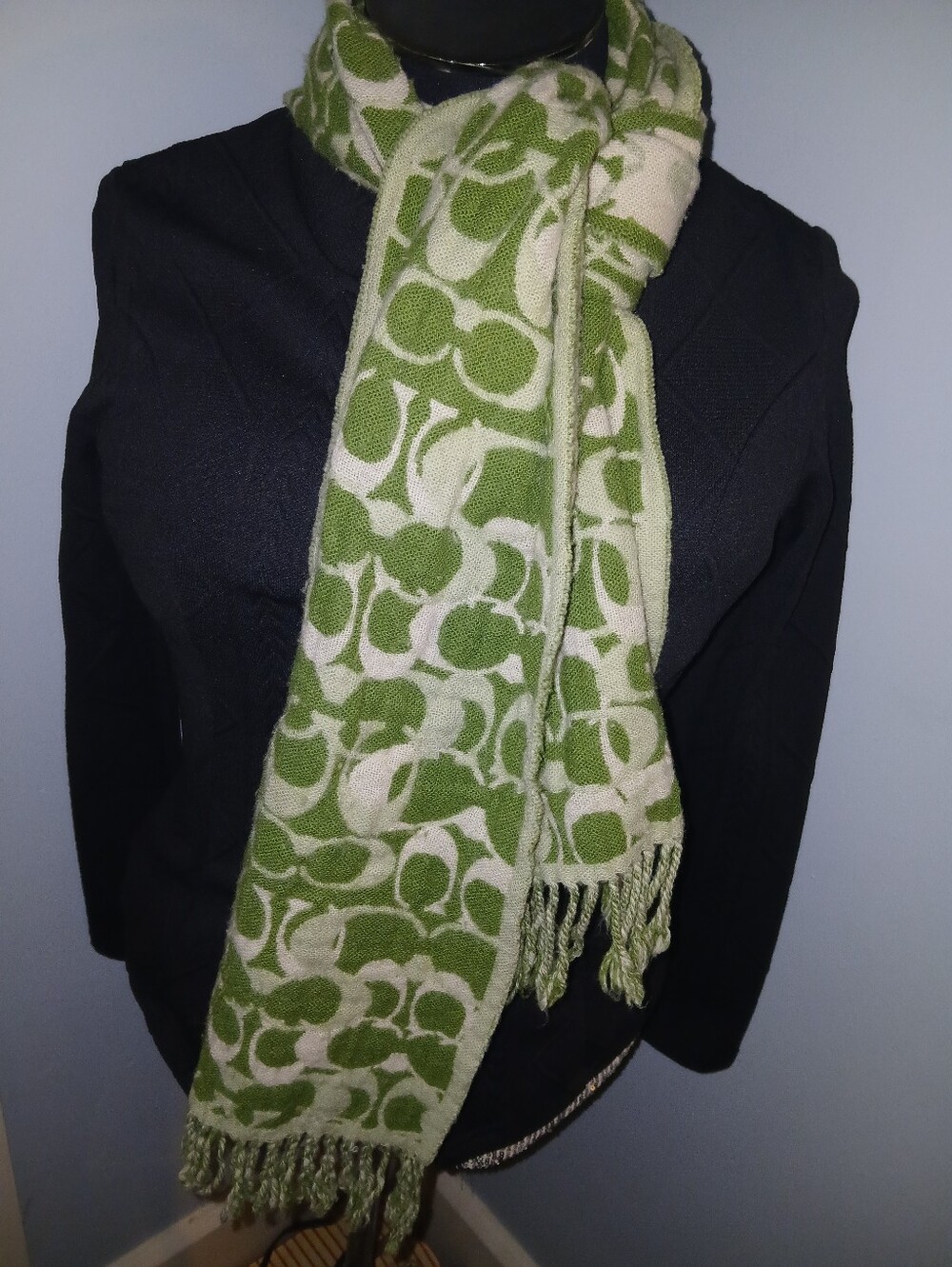 Green Patterned Fringe Scarf - Women's Accessory
